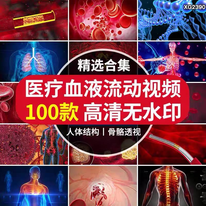 人体内部构造骨骼内脏血细胞血液流动三维动画3D演示视频剪辑素材-1